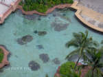 Stingrays and sharks in one of the many aquariums